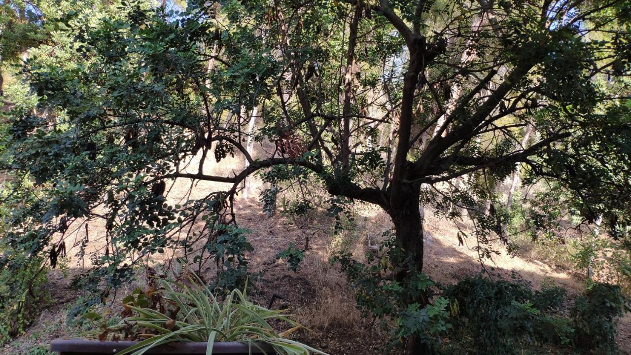 Appartement Fabulosa Casa Del Arbol Málaga
